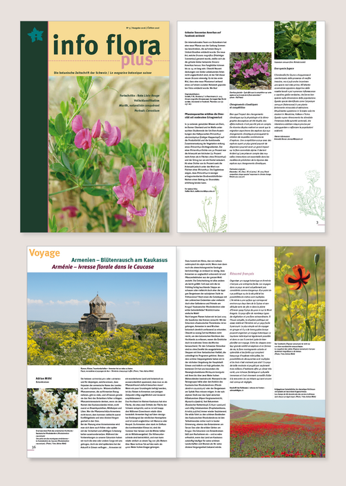 Schweizerische Zeitschrift für Wildpflanzen / erscheint zwei mal jährlich / Gestaltung & Konzept / seit 2012