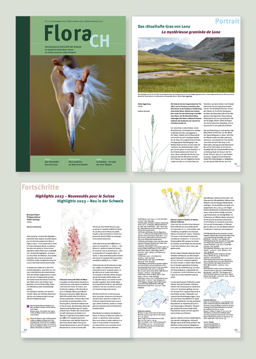 FloraCH / Schweizerische Zeitschrift für Wildpflanzen / erscheint zwei mal jährlich / Gestaltung & Konzept / seit 2012